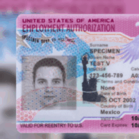 Cropped image of a work permit, or Employment Authorization Document or EAD